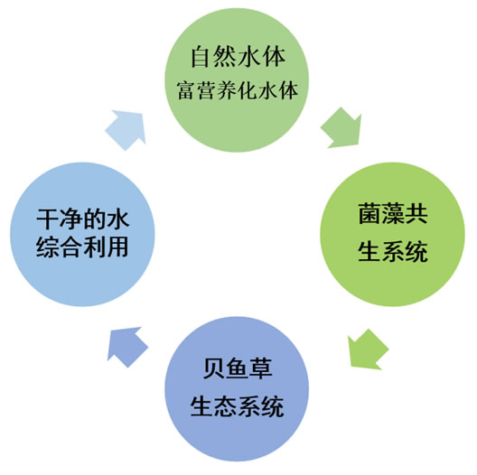 業(yè)務(wù)內(nèi)容